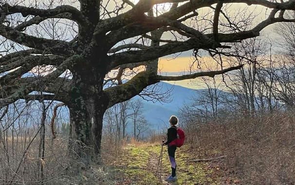 Scenic photo of a person silhouetted standing next to a giant tree with branches that spread across the width of the photo